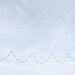 Blue Sky Photography - France - Fine Art print - 8 x 10 - Home decor Wall art