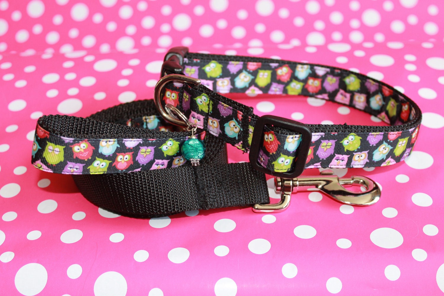 Extra Large 1" Dog Collar and Leash Set