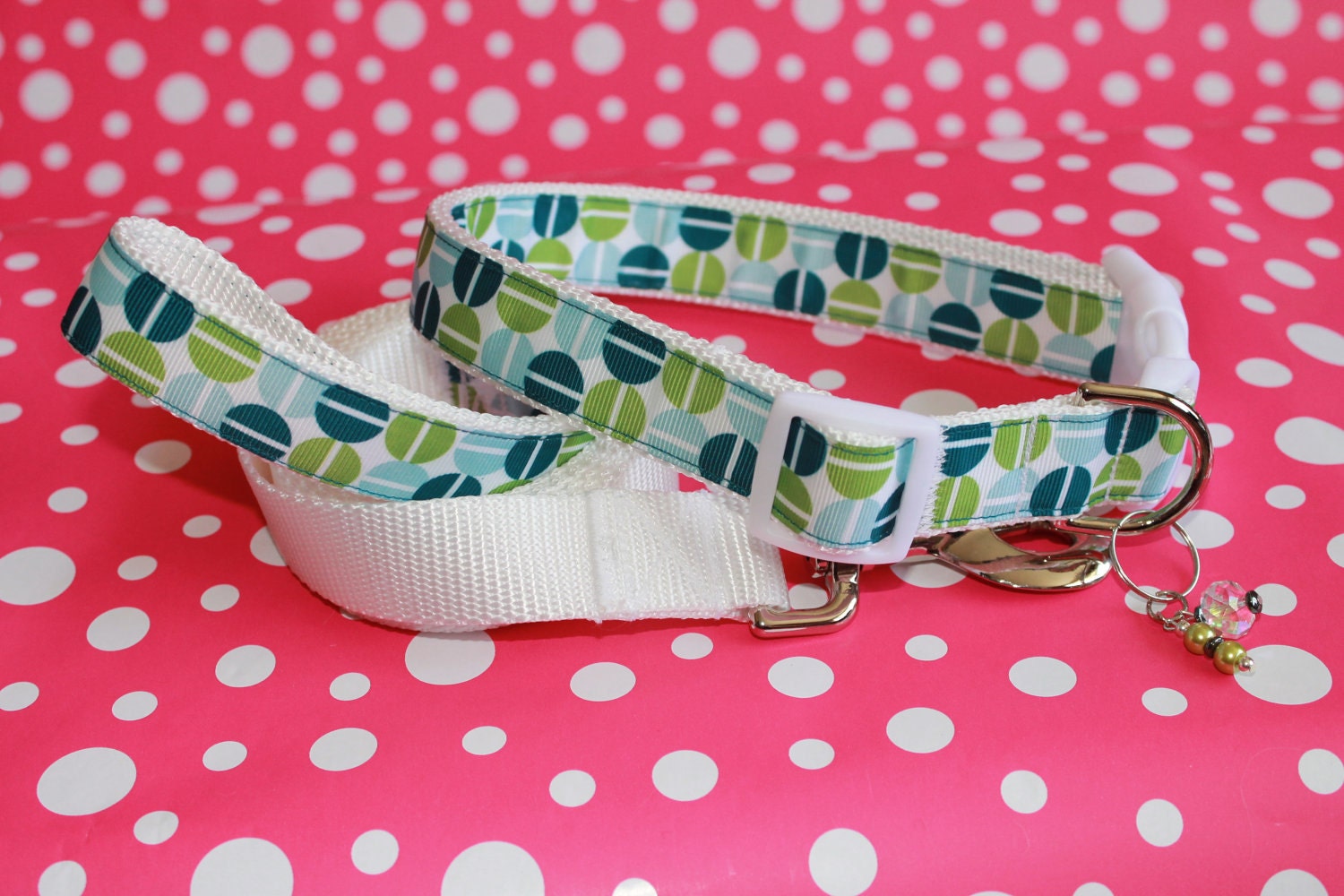 Extra Large 1" Dog Collar and Leash Set