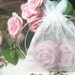 10 (Ten) Gardenia Scented Soy Candle Tarts - Floral - Ivory Cream White