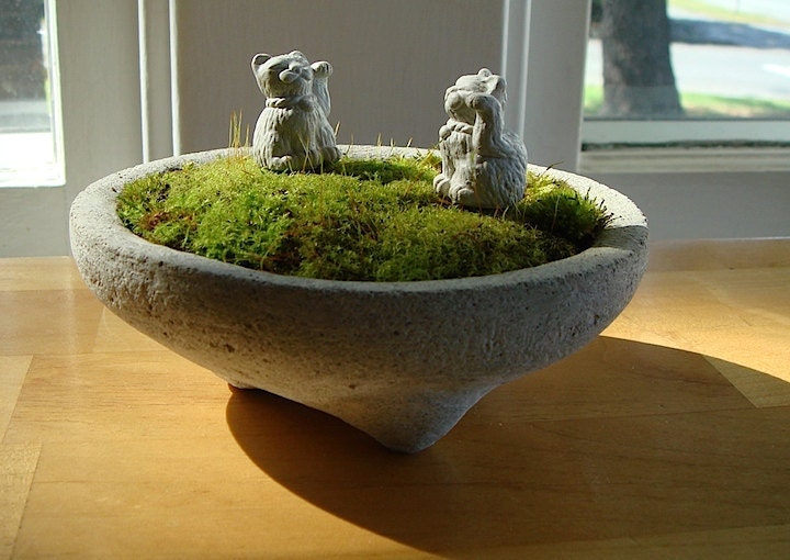 Zen Concrete Miniature Moss Terrarium & 2 Zen Mini Lucky Cats