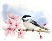 Chickadee in Cherry Blossoms - 5x7 inch Signed Fine Art Print - pink and blue  home decor bird art - paintedbliss