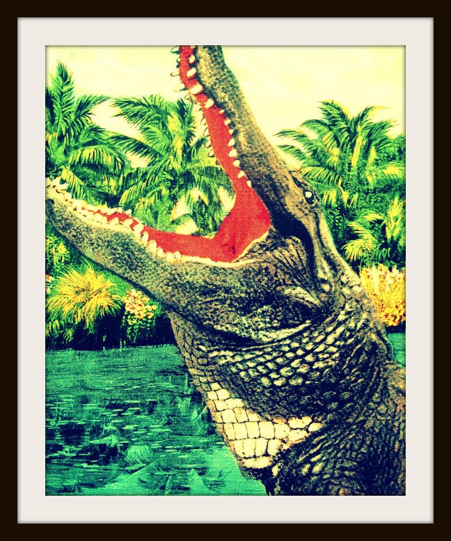 alligator photo GATOR'S got yer GRANNY 8x10 retro Florida 1940s salmon aqua reptile print kids room