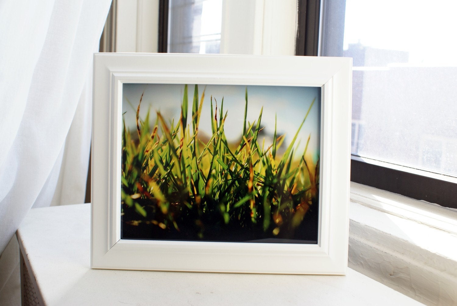 Winter Withered Grass 8x10 Photography Print, Nature Photo Wall Decor - thebqe
