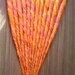 Fruit Salad SE Accent Dreads - Orange Pink Yellow