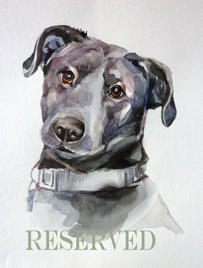 CUSTOM portraits of the dogs, cats and other pets 9x11 inch   PET portraits