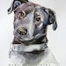 CUSTOM portraits of the dogs, cats and other pets 9x11 inch   PET portraits