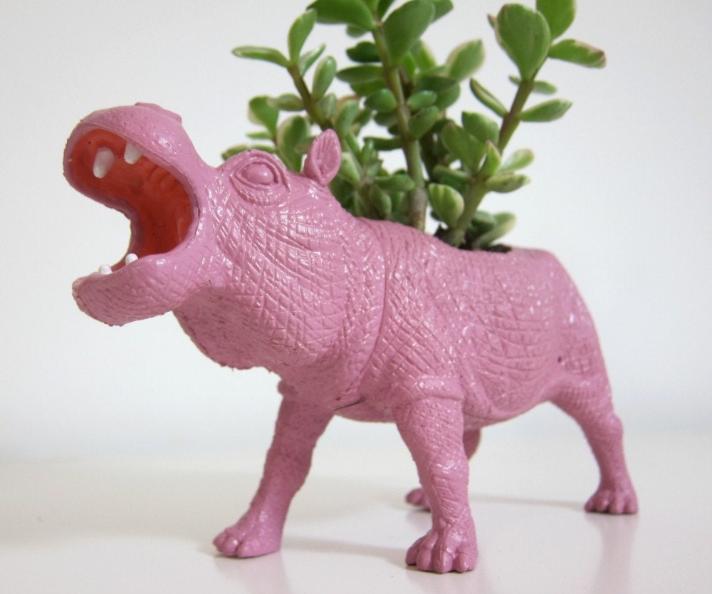 Penelope the Hippopotamus Planter & Succulent