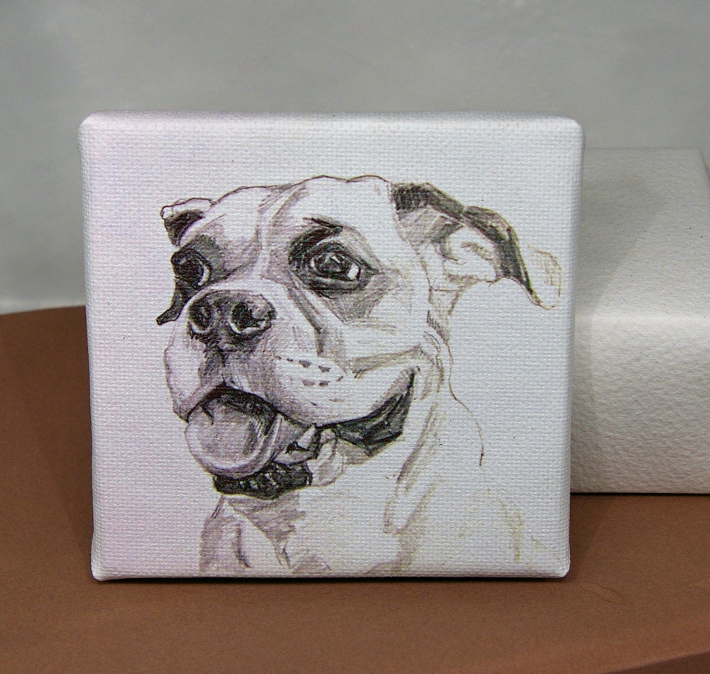 Boxer Dog Fine Art Mini Portrait Print