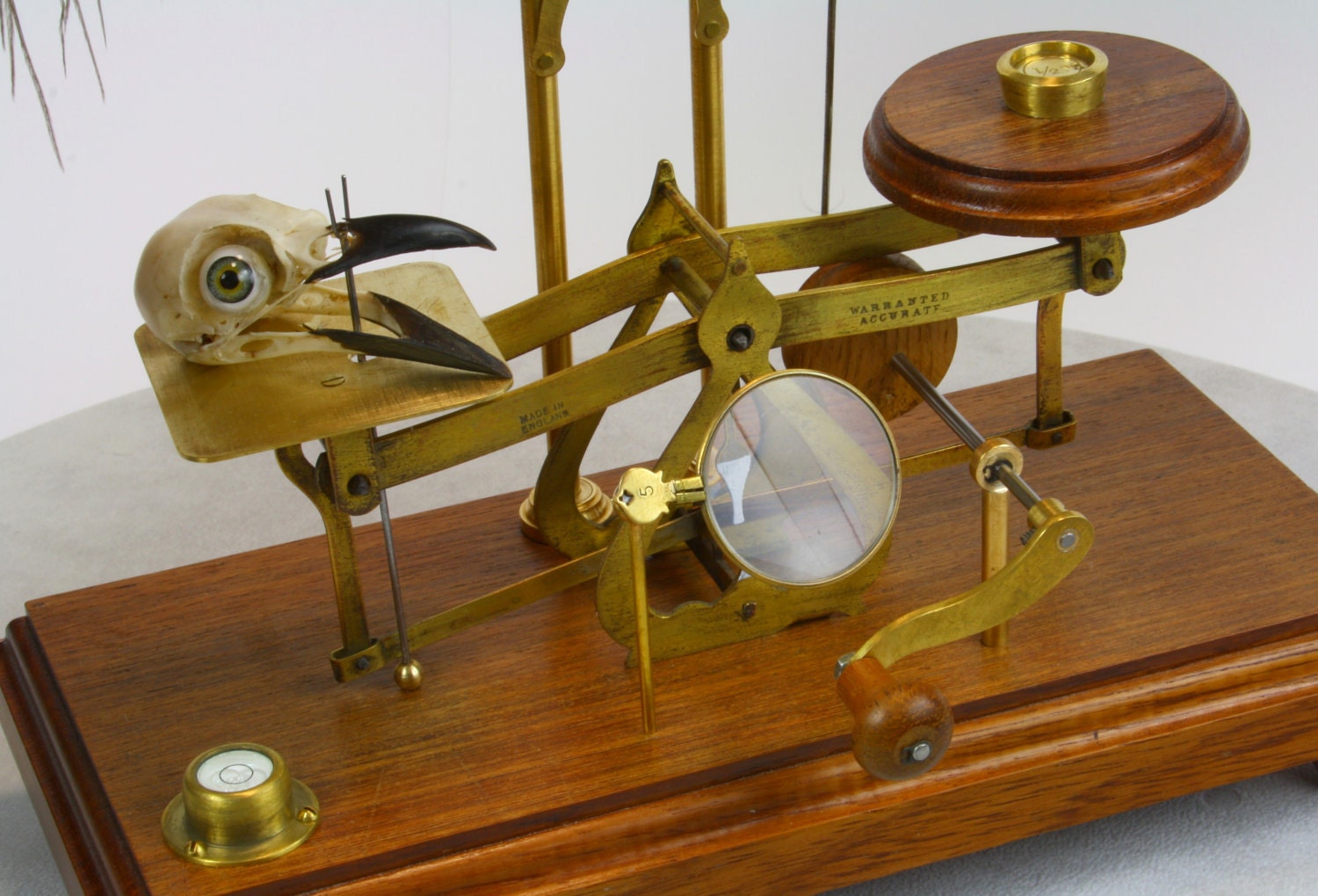 Original automaton entitled "Half ounce"