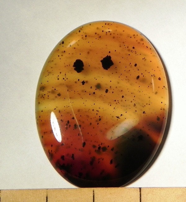 Montana Agate Free Form (MTAG0053)