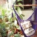 Purple Sitting Hammock, Hanging Chair Natural Cotton and Wood