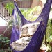 Purple Sitting Hammock, Hanging Chair Natural Cotton and Wood