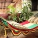 Rastafari Colors Two, Single Hammock hand-woven Natural Cotton Simple Fringe