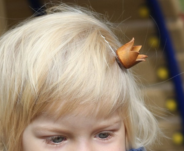 Hair bobby pin - You are my princess