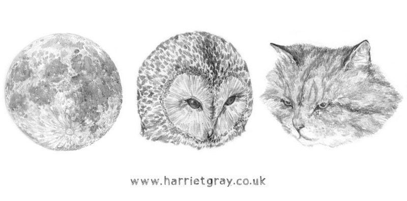 temporary tattoos - the owl and the pussycat - set of three fake tatts