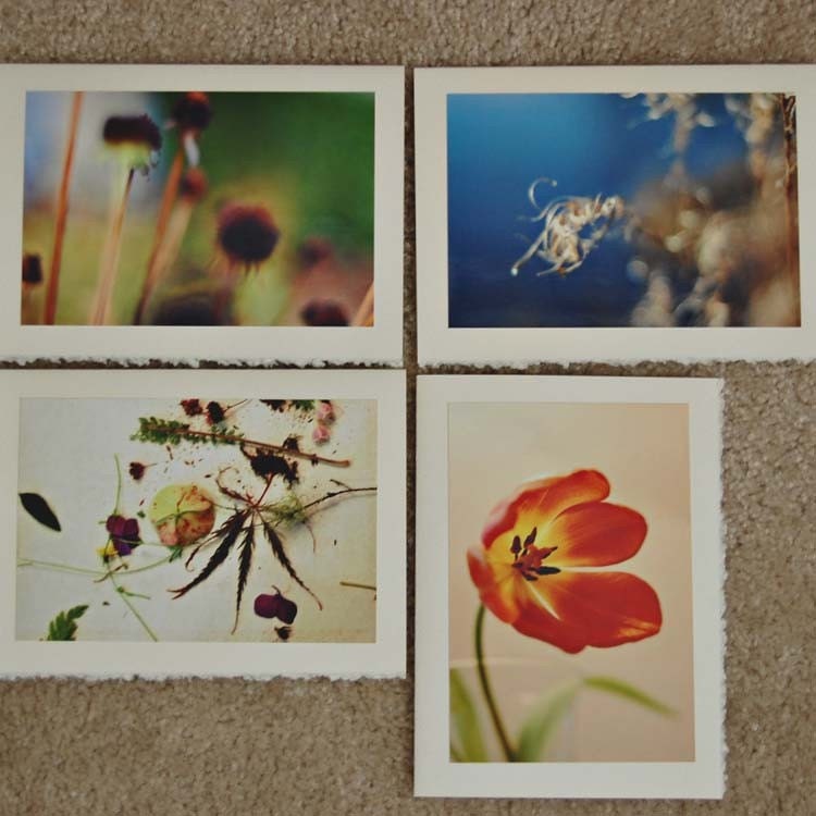 dance of the dying / art cards - set of 4