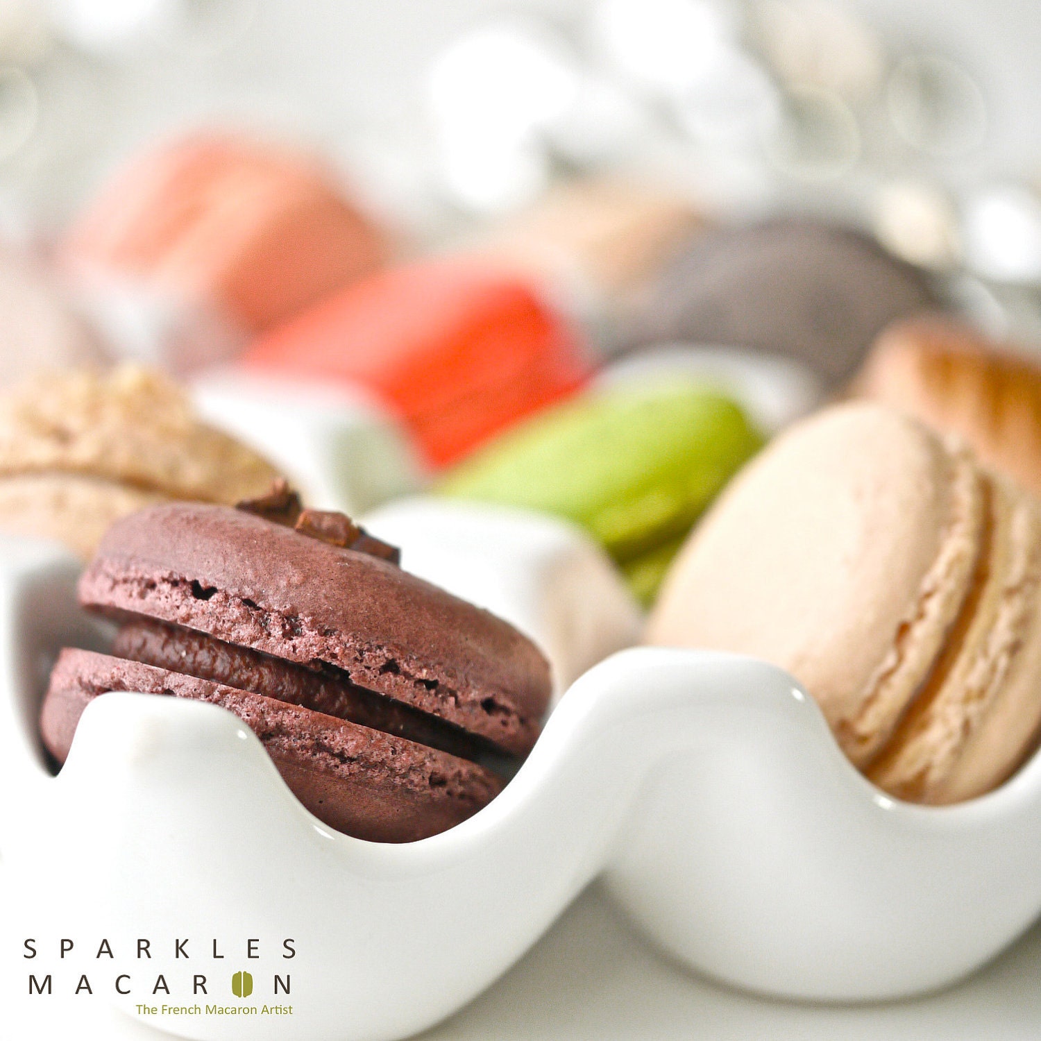 48 Assorted Regular French Macarons