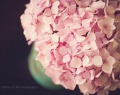 Blushing Blooms I 8x10 Print