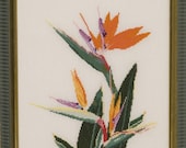 Bird of Paradise or Strelitzia - Framed Cross Stitch Picture
