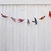 illustrated bird garland