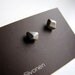 Facets small titanium post earrings