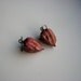 Chinese lantern earrings titanium dangle