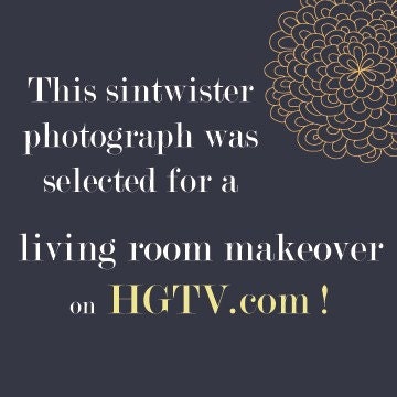 To Write The Story - 8x10 Fine Art Photography - Dreamy Feather Portrait - Featured on HGTV.com, Style at Home Magazine