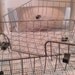 Reserved for Krystal Vintage Set of Simple Wire Desk Organizer Trays