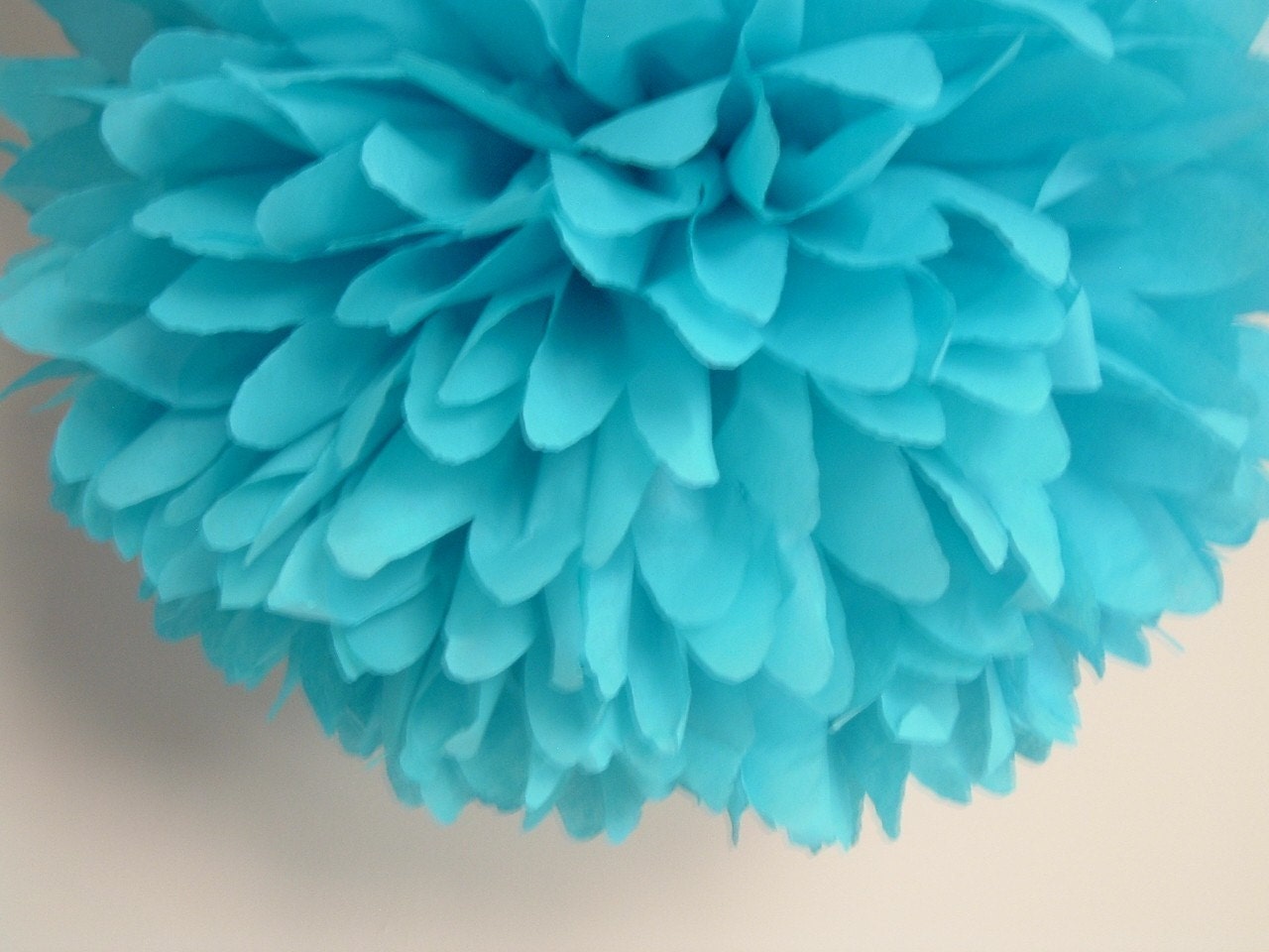 Set of 12 Poms. Pick your colors.