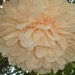 Set of 12  poms ...Pick your colors