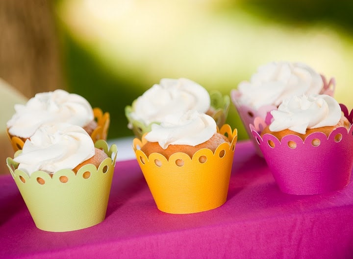24 Cupcake Wrappers - Lollipop
