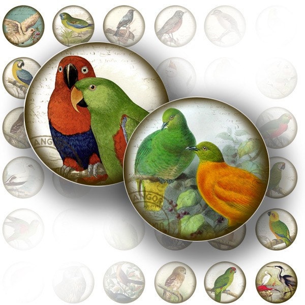 Victorian birds ephemera digital collage bottle cap 1 inch circle jewelry making paper supplies altered art download (053) BUY 3 GET 1 FREE