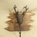 Rustic deer coat rack -- lodge cabin decor -- reclaimed western cedar