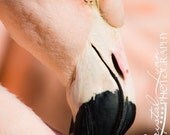 Pink Flamingo - 8x12 Fine Art Photograph