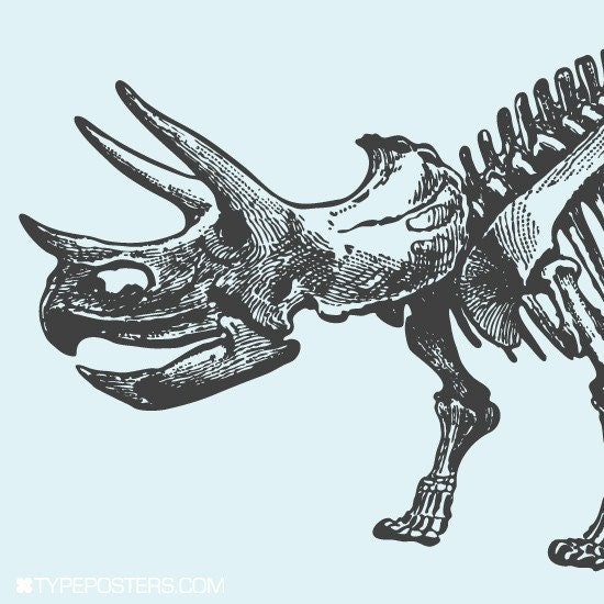 Triceratops Skeleton Huge Art Print