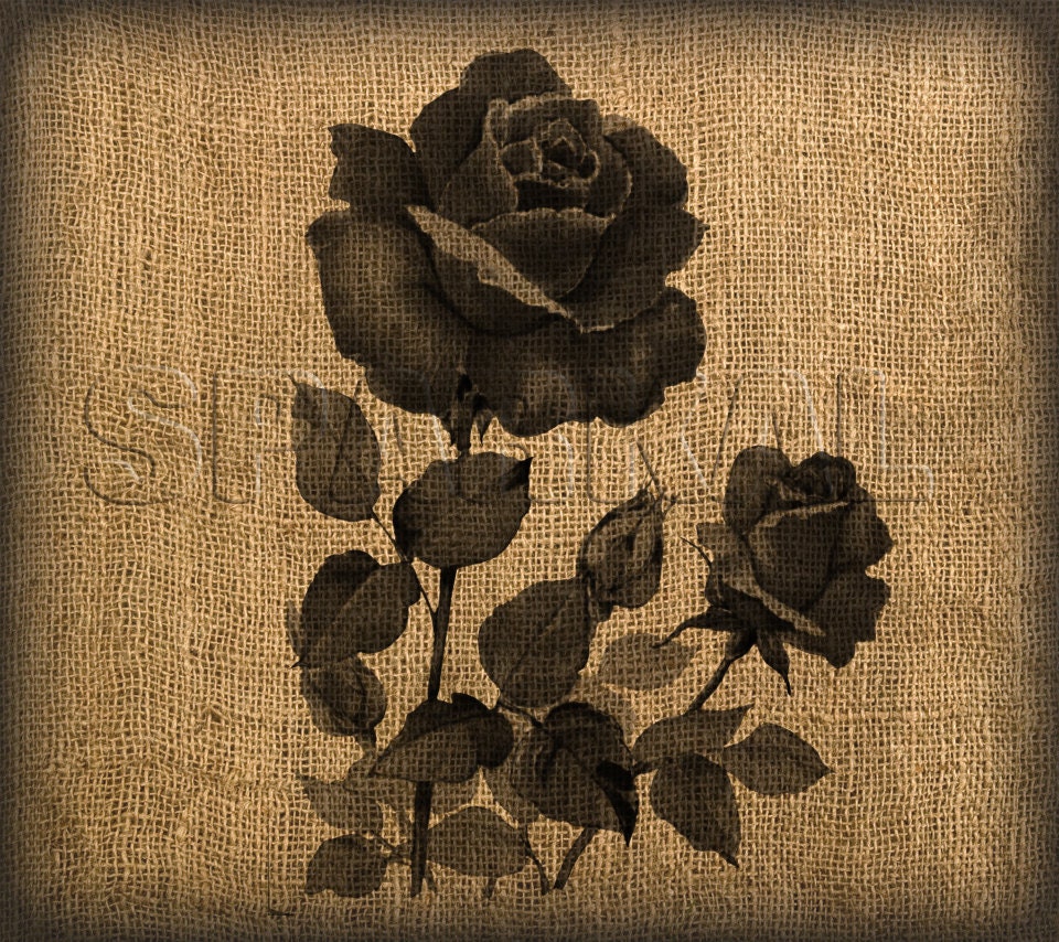 Il_170x135