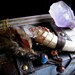 The Mystical Forest- Antler Tip Wand