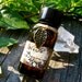 New Beginnings Ritual Perfume Oil