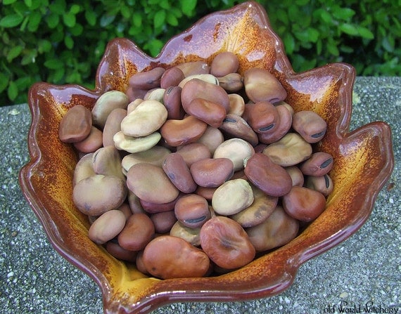 FAVA BEANS - Ancestor Offerings - Spirit Offerings - Italian Witchcraft - Certified Organic