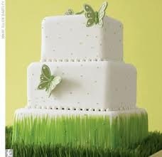 Papa Bob's Organic Wheat Grass Growing Kits - Two 6" kits