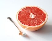 Grapefruit -- FREE SHIPPING 8x10 Fine Art Photo Print - Kitchen Art