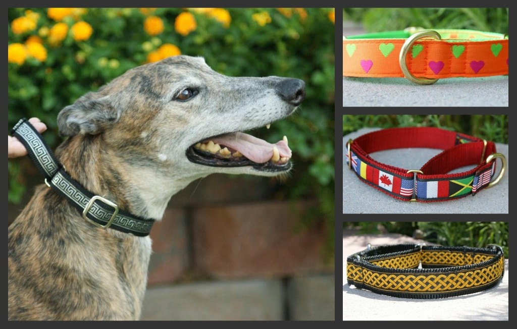 Martingale upgrade (A)-to convert a Quick Release collar to a Martingale collar