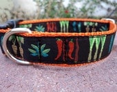 Veggie Dog Collar - 1 Inch Wide Adjustable Quick Snap Collar
