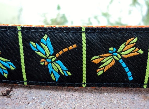 1" Dog Collar Adj. Quick Release(L)- Dragonfly -- Sm, Med or Lge (Or as a Martingale) Choose web color img