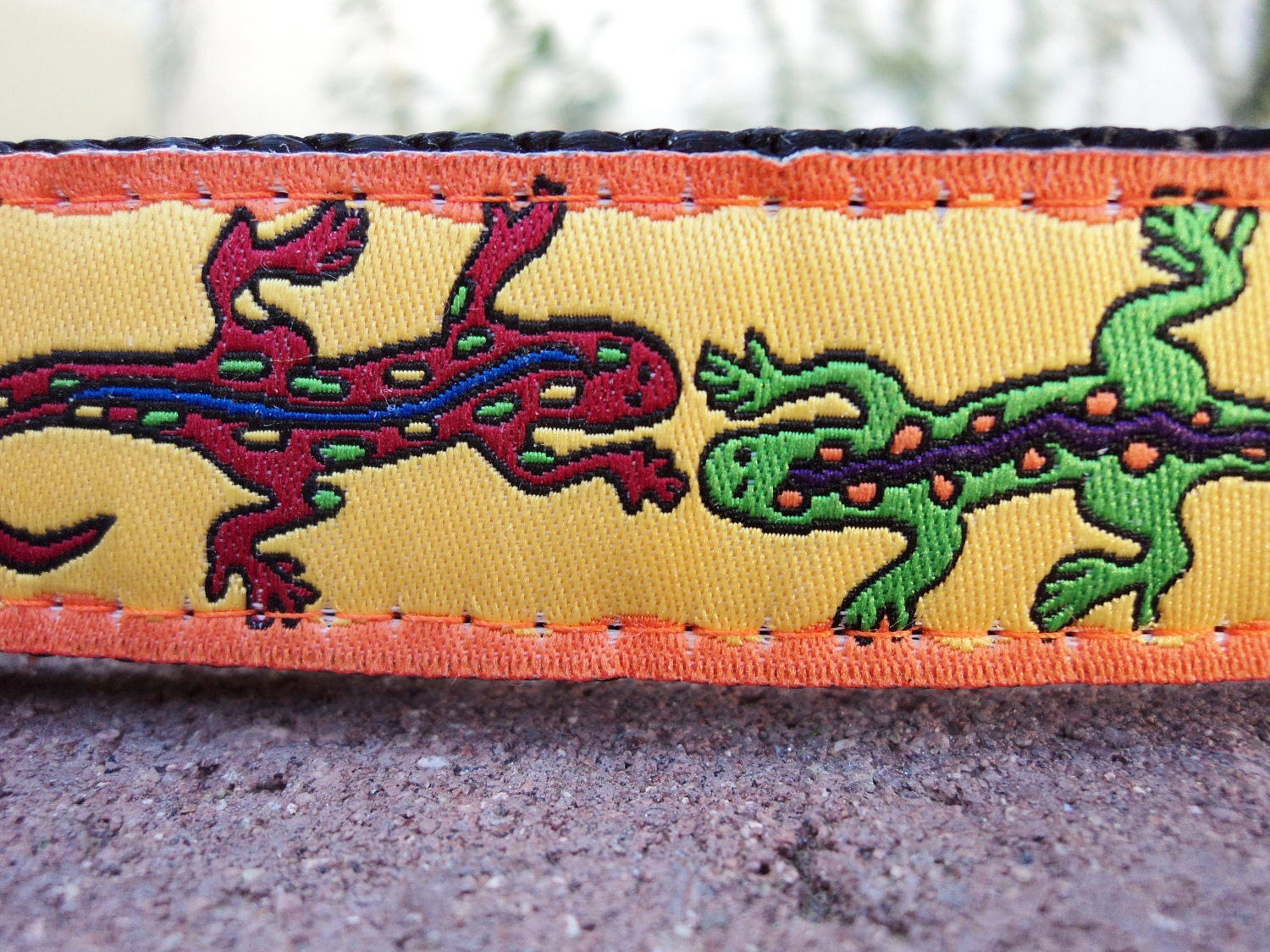 Dog Collar (C) - Electric Gecko - Choose Your Webbing Color img
