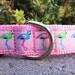 Dog Collar - Colorful Flamingo - Choose Webbing Color img