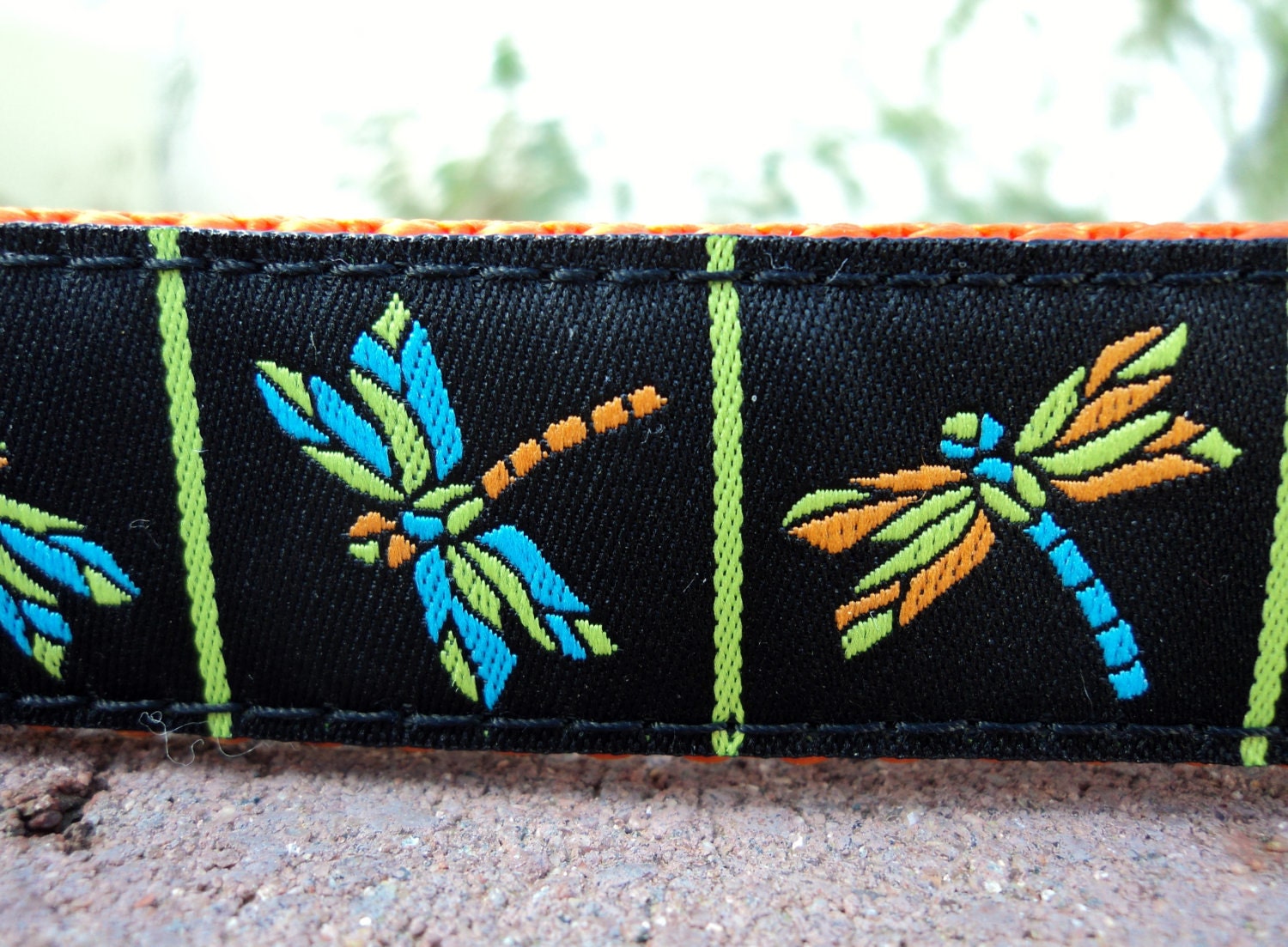 1" Dog Collar Adj. Quick Release(L)- Dragonfly -- Sm, Med or Lge (Or as a Martingale) Choose web color img