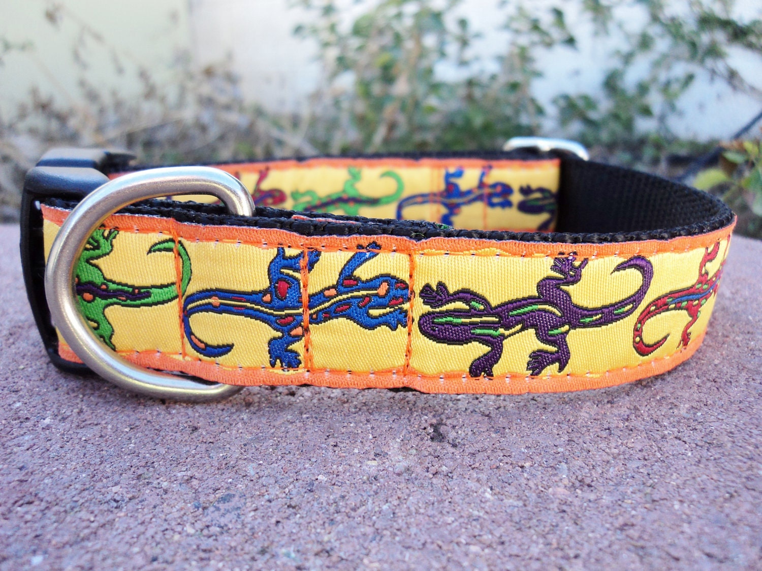 Dog Collar (C) - Electric Gecko - Choose Your Webbing Color img