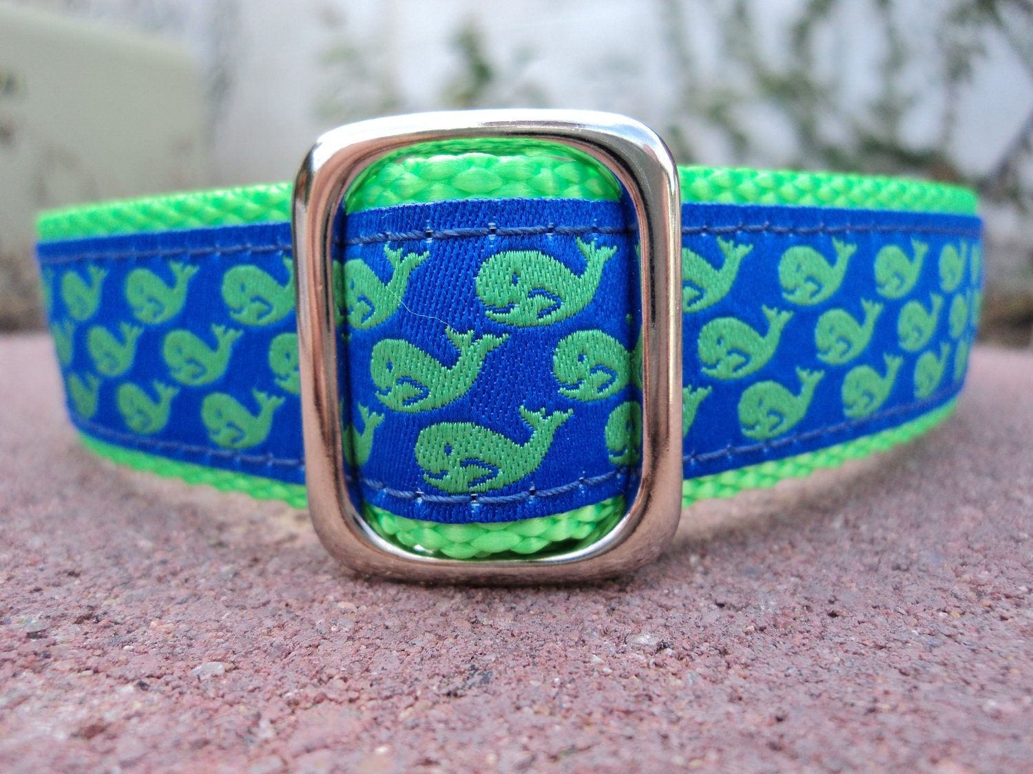 1"or 3/4" Dog CollarAdj. Quick Release - Green Whale Pod- Sm, Med or Lge (Or as a Martingale)Or in 3/4" & 1.5" listings(Choose webbing color img